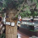 주필거미박물관 이미지