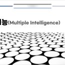 남선미유치원 이미지