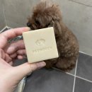 펫리즈 | 집에서 하는 목욕은 속도가 생명! 강아지비누 에스까모 펫토벤 사용후기