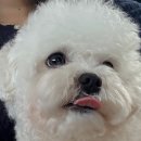 어김없이 돌아온 5월 ! 내생일 ! 🎁