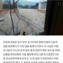 [단독] &#34;조원태 회장, 모친 이명희 자택서 소란&#34;..수면 위로 드러난 한진家 경영권 분쟁 이미지