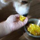 민철목장 이미지