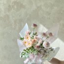 스테디무드 이미지