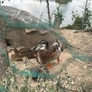 송백농장 이미지