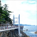 초곡 용굴촛대바위길 티스토리