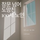 창문 넘어 도망친 100세 노인 | [리뷰] 창문 넘어 도망친 100세 노인