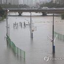 온천천일대4 이미지