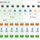 중문동-16 이미지
