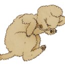 재경호
