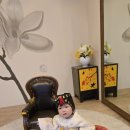 9월 5일 윤지우( 아동2인) 레드원삼+블루사파4세남아 이미지
