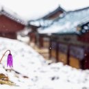 꽃님이 이미지