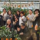 금송농장 이미지