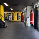 드래곤 복싱클럽 이미지