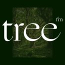 숲의 소리 이미지