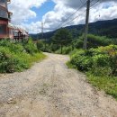 자작나무숲펜션 이미지