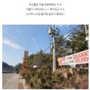 사파리모텔 이미지