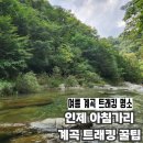 교곡1리마을회관 | 인제 아침가리 계곡 트래킹 | 안전산행 주차 택시 꿀팁 방출
