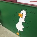 냉천마을 횡단보도 | 여자혼자 영월 여행 1박2일 | 2024.03.28~03.29