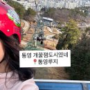 경상남도통영교육지원청 | 통영 루지 예약 할인 준비물 꿀팁 통영가볼만한곳