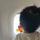 홀리데이 인 리조트 | 미야자키] 아기랑 일본 미야자키 숙소 추천, 오션뷰가 예술이었던 ANA 홀리데이 인 리조트 미야자키 후기