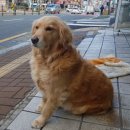 (연제)행복세차장 | [&#39;깜&#39;이목욕하는날]연산로터리인근_손세차_스팀세차_팔도세차장#차량유리코팅#착한사장님