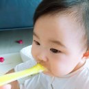 중기이유식 우리 아이 입맛에 딱 맞는 단호박브로콜리