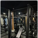 비비휘트니스 이미지