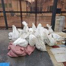 인제셀프세차장 이미지