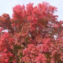 진해여자고등학교 이미지