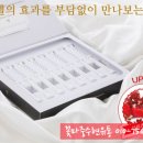 브이엘 이미지