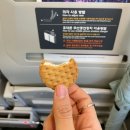 [공지] 🥭망고시루를 찾아 떠난 1박2일 대전여행🚈 (망고시루 주말 웨이팅 없이 사는 비법 전수)