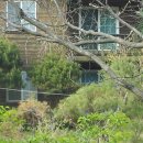 가평 숲속의 계곡 펜션 이미지