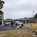 달이뜨면꽃이피고 이미지