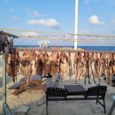 사근진해변 해중공원 이미지