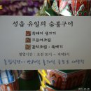 제주흑돼지숯불구이 Daum카페