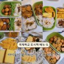 (주)에스엘(SL)가스 | [우리집밥상] 싱가포르 워킹맘의 현실 꿀팁! 일주일 버티게 해준 간단 영양 도시락&아침 메뉴 모음