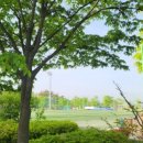 돌실공원 이미지