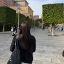 셀프 애쉬브라운 염색 | 밀본 염색약 내돈내산 후기 (네오빈티지 카키, 머메이드 애쉬)