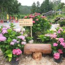 연홍농장 이미지