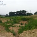 완충녹지10호 이미지