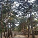 석림원 | 칼바람 설악산도 녹이는 53도 온천! 척산온천휴양촌에서 인생 힐링했어요!