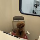 Happy Salon(해피살롱) 이미지