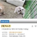 도도 - 원주시 평원초교길 32-2 | 도도