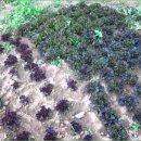 놀부농장 이미지