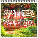 원제 : 딸, 숙녀, 아내, 며느리, 엄마라는 이름 뒤편. 이미지