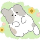 구영로L 이미지