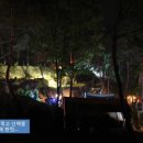 아잘리아그린 이미지