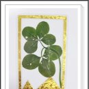 모락로~가구단지길 이미지