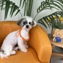 두루몽실 이미지