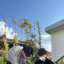 서부로 1844